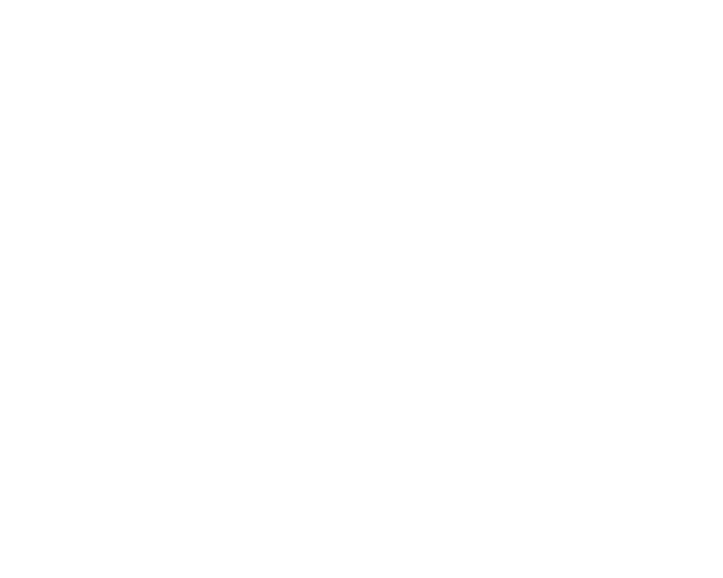Hayakawa Manufacturring